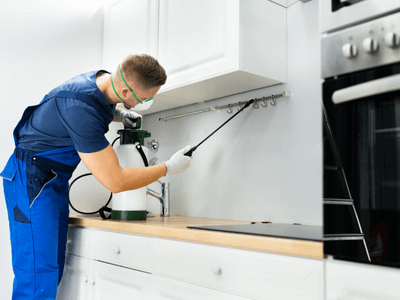 About Pest Control Experts - pest control services experts in Wyoming