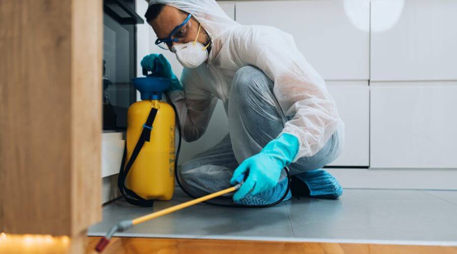 Professional pest control services services in Wyoming